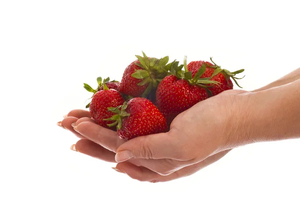 Φράουλα στα χέρια — Φωτογραφία Αρχείου