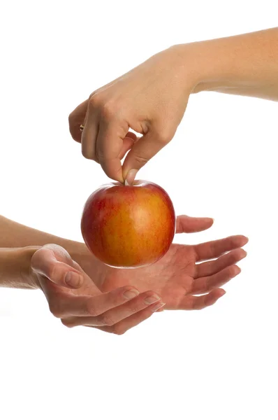 Manzana en manos —  Fotos de Stock