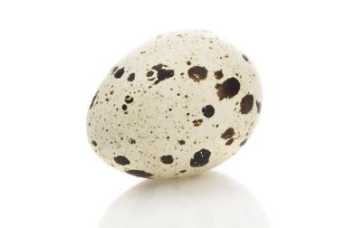 Quail egg clipart