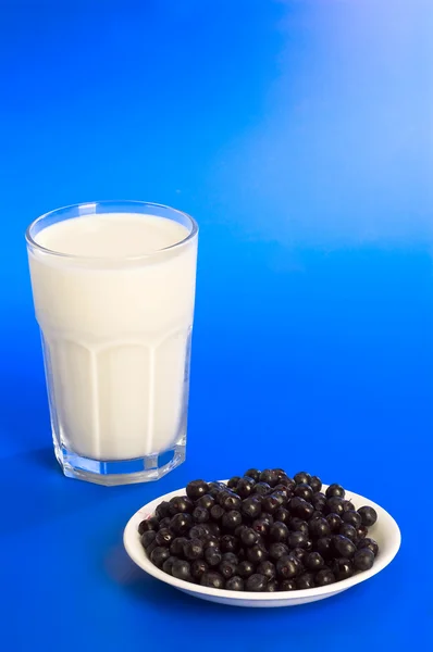 Copo de leite e mirtilo — Fotografia de Stock