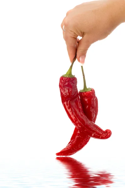 Papriky v ruce, samostatný — Stock fotografie