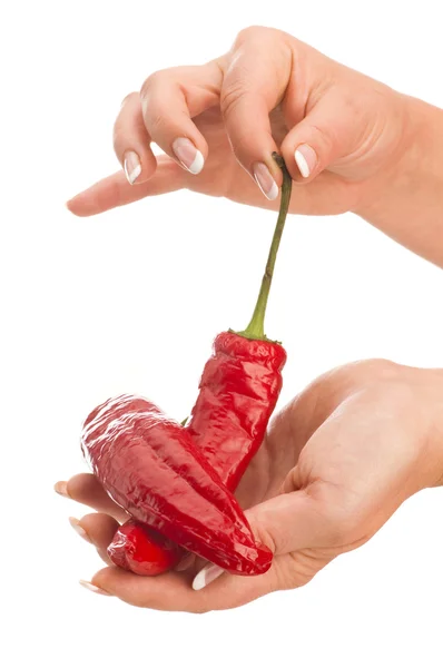 Peperoni isolati a mano — Foto Stock