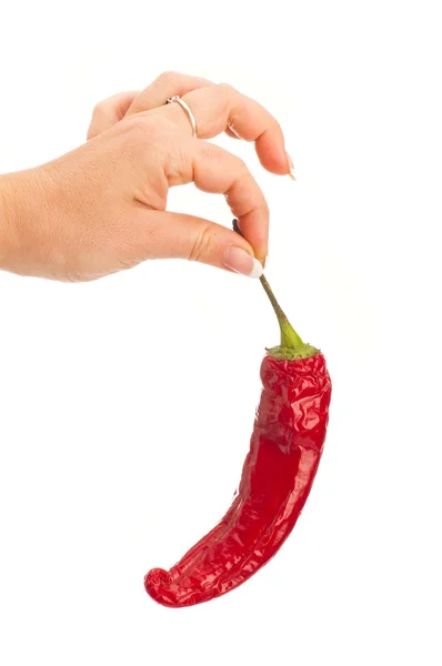 Paprika's in hand geïsoleerd — Stockfoto