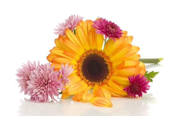 Çiçek natürmort — Stok fotoğraf