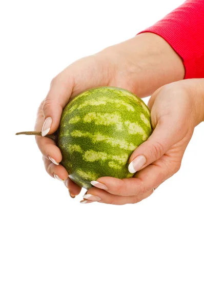Semangka di tangan — Stok Foto