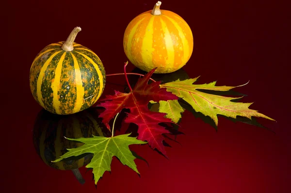 Bodegón de otoño — Foto de Stock