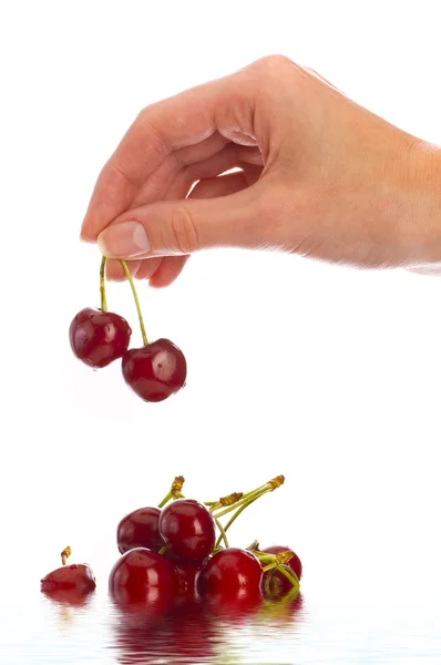 Cherries in hand — Stock Photo, Image