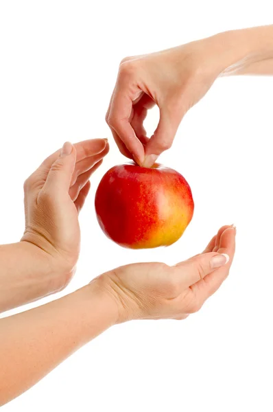 Manzana en manos — Foto de Stock