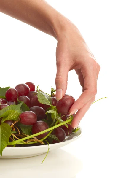 Grape on plate isolated — Stock Photo, Image