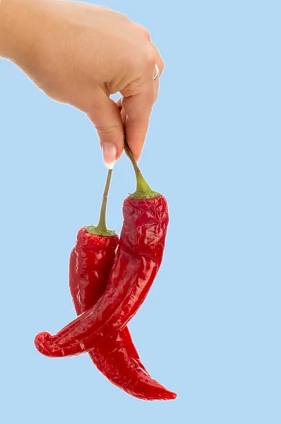 Paprika in der Hand isoliert — Stockfoto