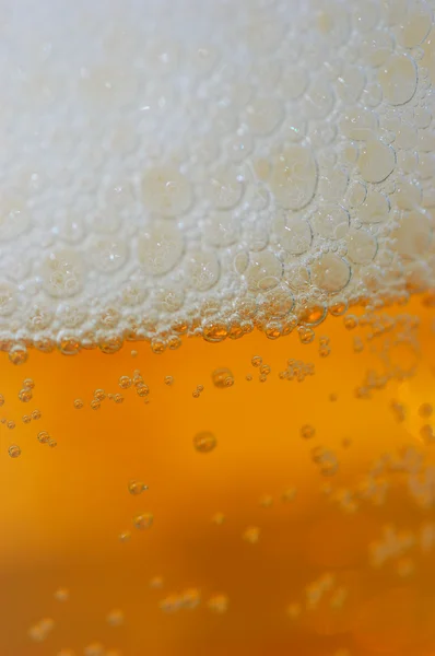 stock image Beer bubbles in the glass