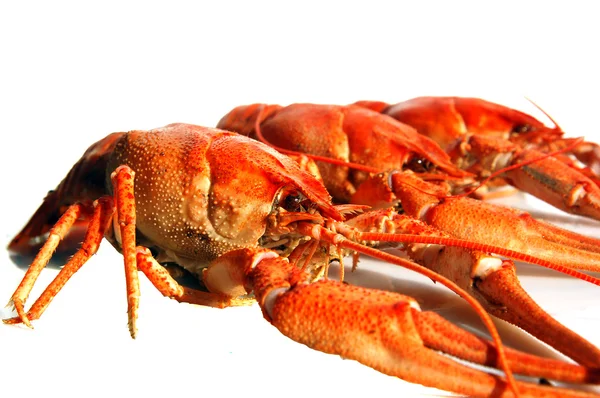 Peixe-lagosta cozido — Fotografia de Stock