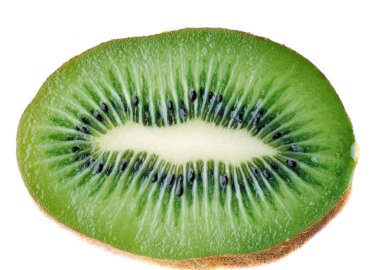 Beyaz arkaplanda Kiwi