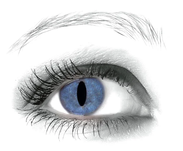 Kvinnliga ögat isolerade på vit bakgrund — Stockfoto