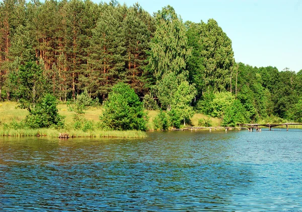 Landschap. Lake forest — Stockfoto