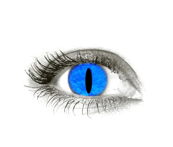 흰색 바탕에 고립 된 여성 눈 — 스톡 사진