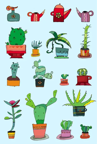 Zbiór małych kaktusów — Zdjęcie stockowe