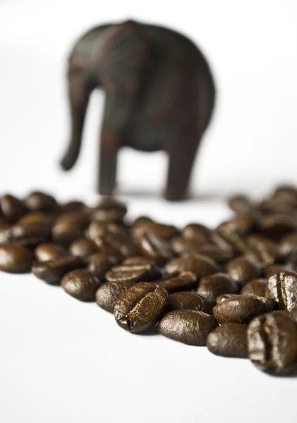 Kahve fil — Stok fotoğraf
