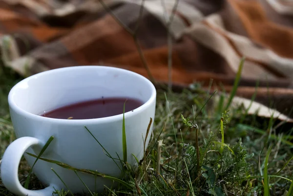 Tea Outside — Stock Photo, Image