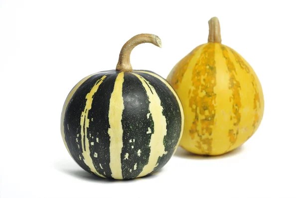 stock image Pumpkins