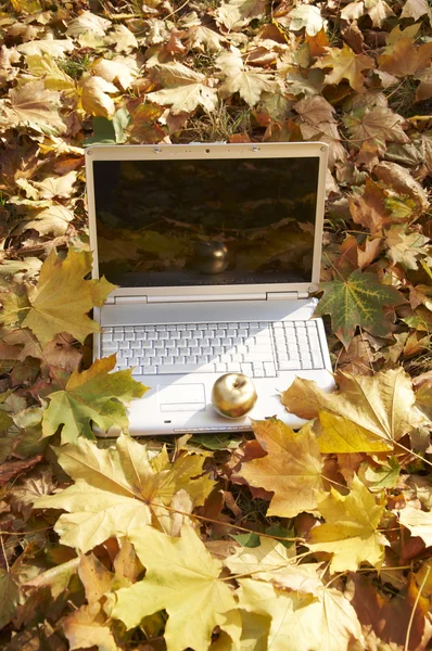 stock image Computer and apple