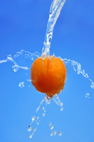Apricot in waters — Stock Photo, Image