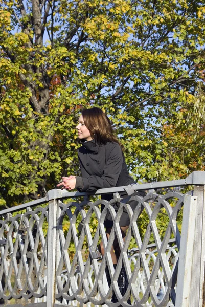 stock image On the bridge in autumn park