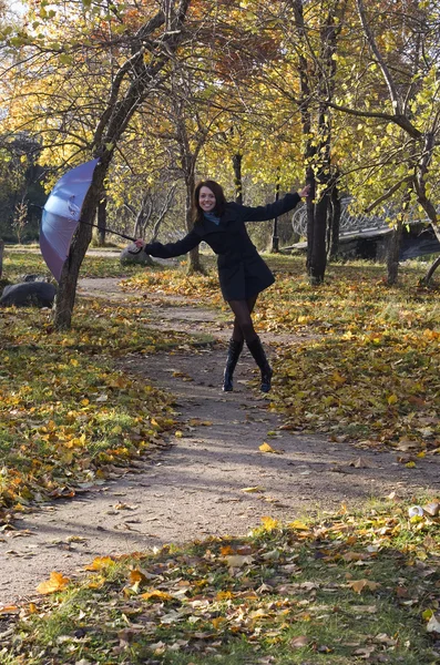 Stock image In autumn park