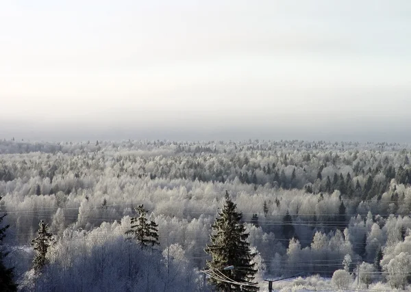 Karelen — Stockfoto
