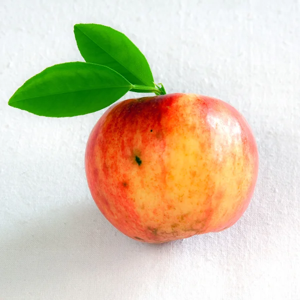 Na białym tle jabłko z zielonych liści — Zdjęcie stockowe