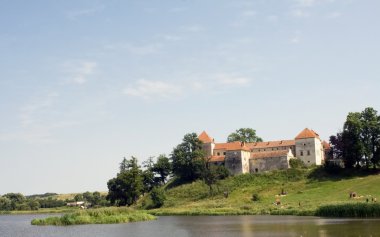 Old castle behind the lake clipart