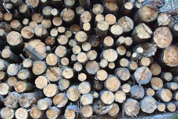 Купу дрова — стокове фото
