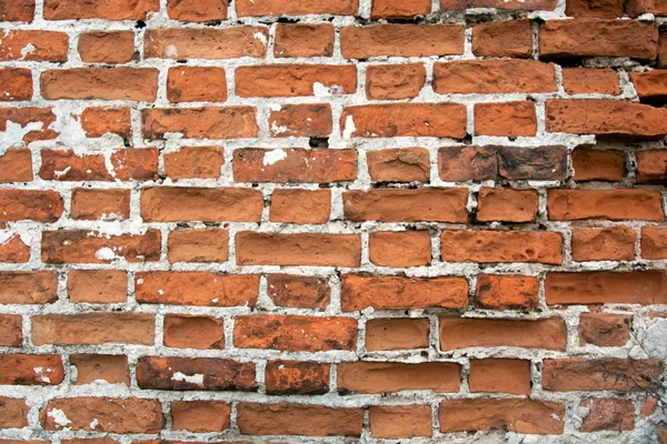 stock image Old brick wall