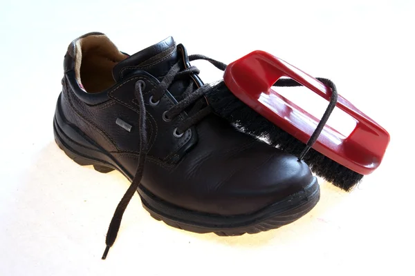 Zapato aislado con cepillo — Foto de Stock