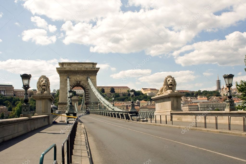 Lion bridge in Budapest