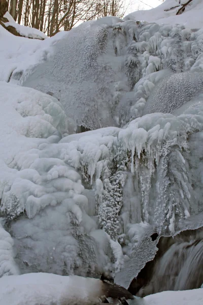 Ледопад в лесу — стоковое фото