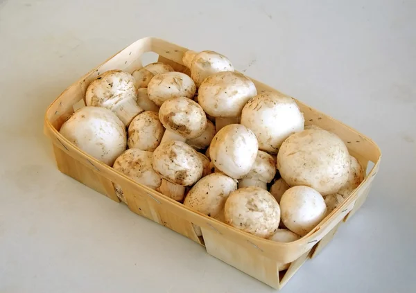 Caixa com cogumelos — Fotografia de Stock