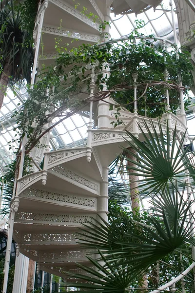 Escalier en spirale dans l'arboretum — Photo