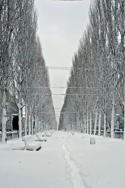 Snowy road in the park — Stock Photo, Image