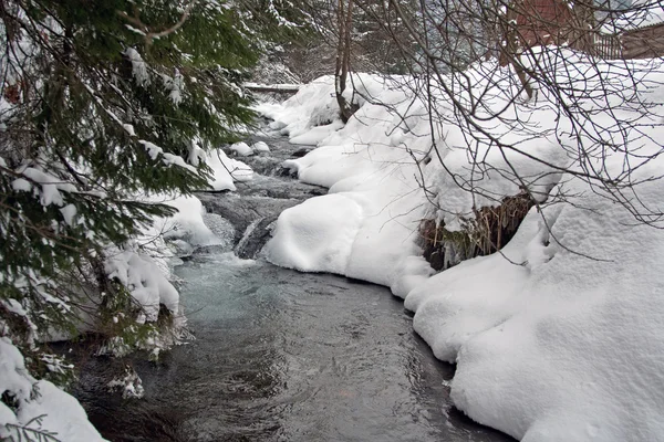 겨울 강 — 스톡 사진