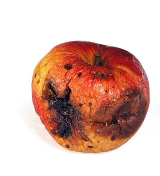 Гнилое яблоко — стоковое фото