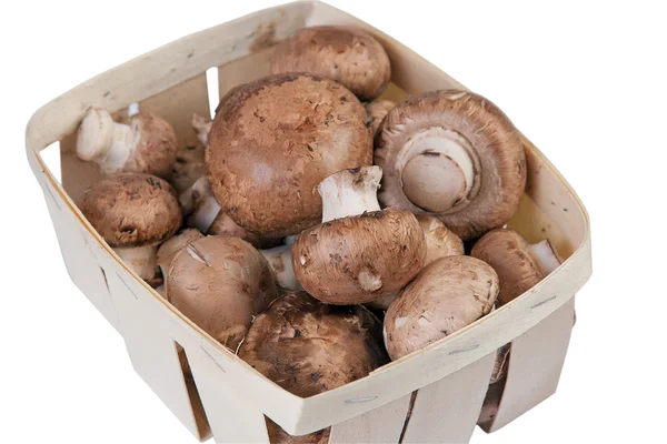 Box with mushrooms — Stock Photo, Image