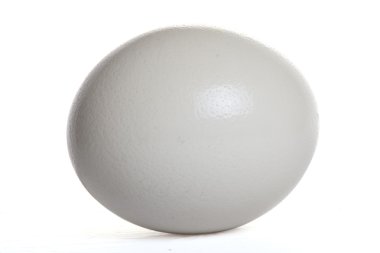 Isolated ostrich egg clipart