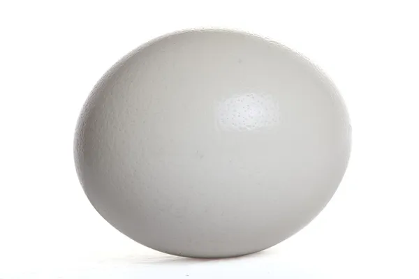 Izolované pštrosí vejce — Stock fotografie