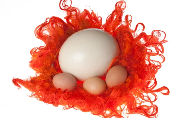 Huevos de diferentes tamaños en el nido —  Fotos de Stock