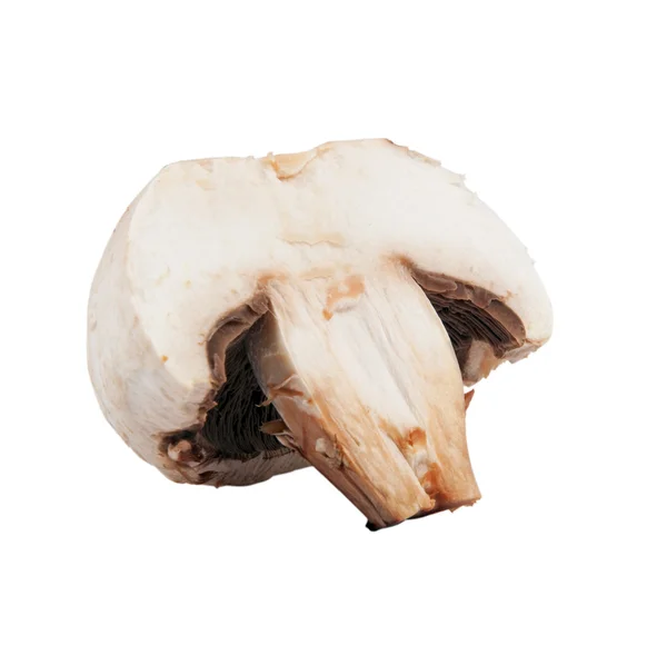 孤立的蘑菇半 — 图库照片