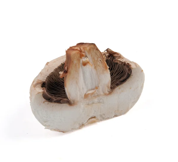 Cogumelo isolado metade — Fotografia de Stock