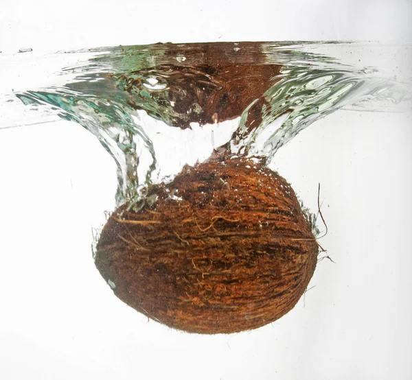 Kokos v stříkající vodě — Stock fotografie
