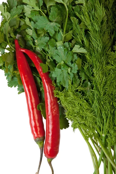 Rote Chilischote, Petersilie, Dill — Stockfoto