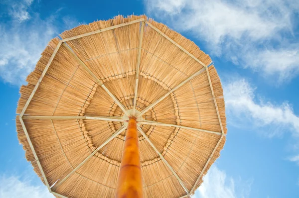 Tropischer Sonnenschirm — Stockfoto